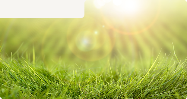 サステナビリティ