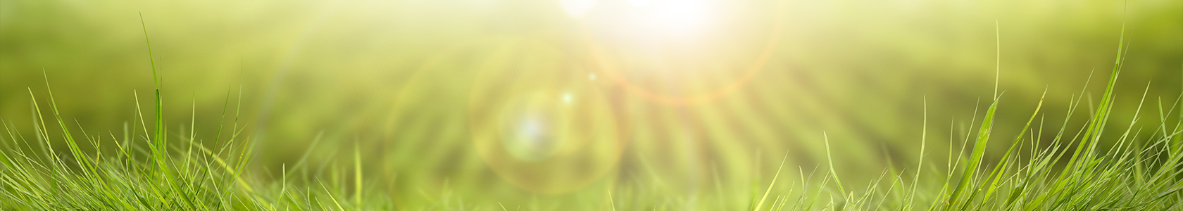 サステナビリティ